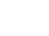 Logo des Red Wings de Detroit