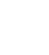Logo des Panthers de la Floride